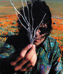 Nobody with twigs in a field