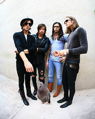 Kings of Leon chilling with a pigeon