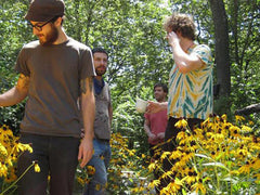 woods band photo