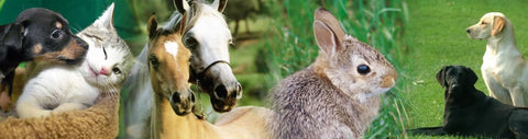 NutraSilver Pet Health