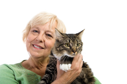 Cat Diseases