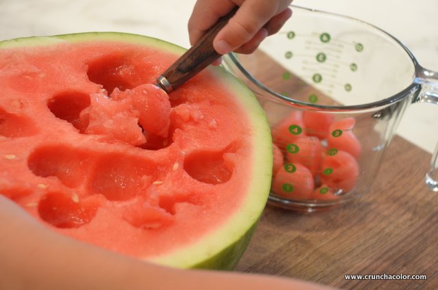 watermelon popsicles scoop