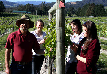 Panorama Vineyard