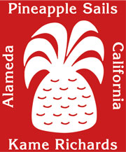 Pineapple Sails logo